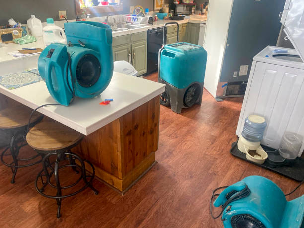 Best Mold removal after water damage  in Germantown, IL