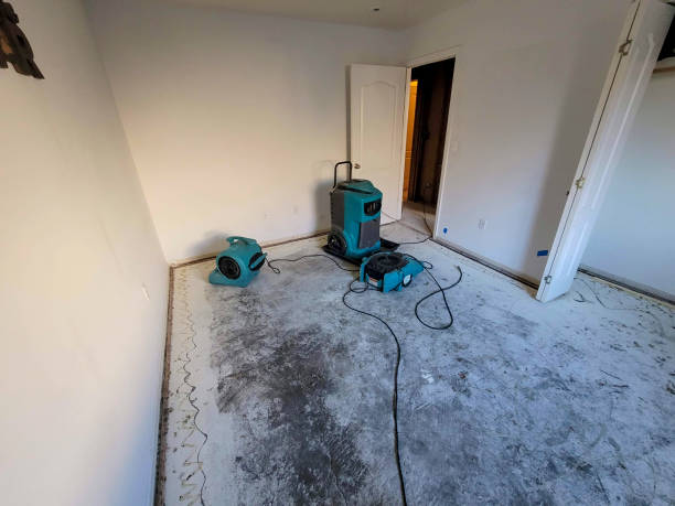 Trusted Germantown, IL Water damage restoration Experts