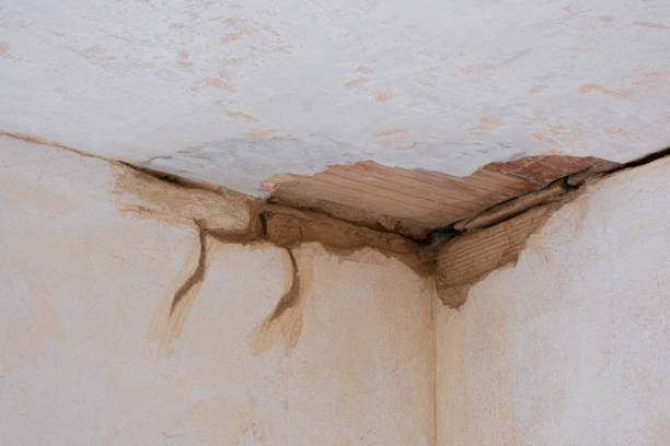 Best Flood damage cleanup  in Germantown, IL