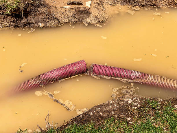 Local water damage restoration in Germantown, IL